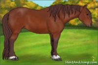 Horse Color:Chocolate Brown 