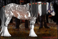 Horse Color:White Spotted Brown Ice Splash 