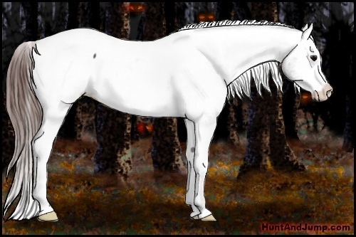 Horse Color:Brown Snowcap