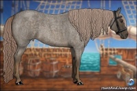 Horse Color:Chocolate Palomino Roan