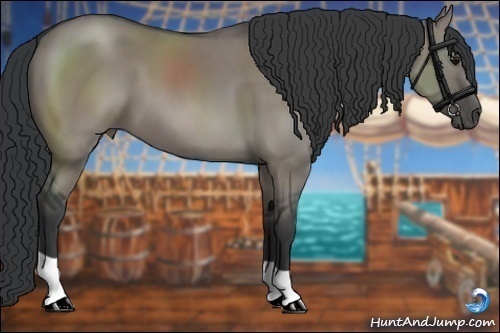 Horse Color:Grullo 