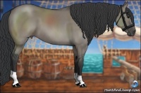 Horse Color:Grullo 