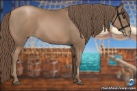 Horse Color:Black Pearl