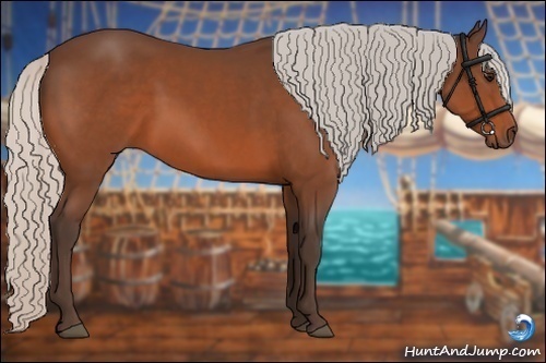 Horse Color:Silver Bay 