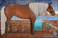 Horse Color:Silver Bay 