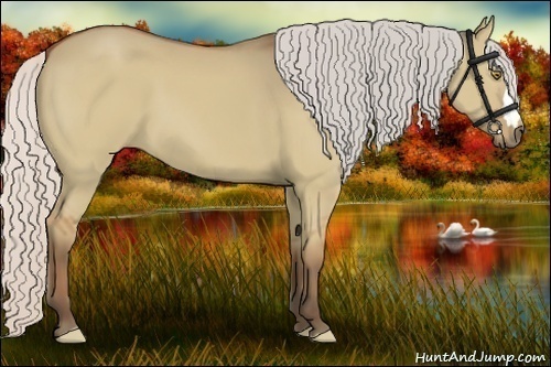 Horse Color:Silver Bay Dun 