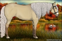 Horse Color:Silver Bay Dun 