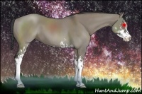 Horse Color:Smoky Grullo Sabino 