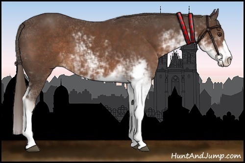 Horse Color:Liver Chestnut Sabino 