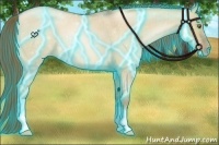 Horse Color:Thunderstruck Liver Red Dun Roan Pearl 