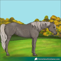 Horse Color:Silver Black 
