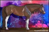 Horse Color:White Spotted Liver Chestnut 