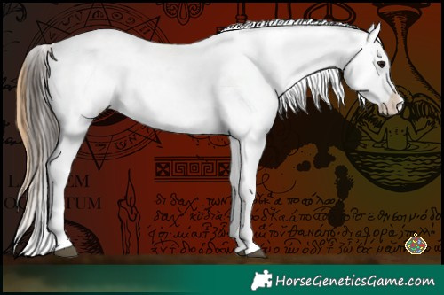 Horse Color:Buckskin Tobiano Leopard