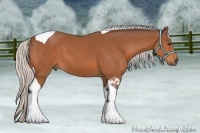 Horse Color:Silver Bay Tobiano