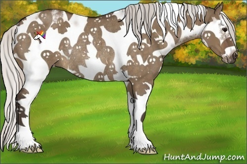 Horse Color:Silver Brown Dun Sabino Splash Frame Rabicano