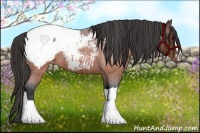 Horse Color:Brown Roan Snowcap
