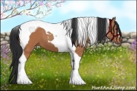 Horse Color:Bay Tobiano 