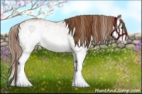 Horse Color:White Spotted Chestnut Splash 