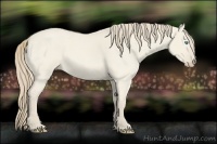 Horse Color:Smoky Creme Roan Dun 