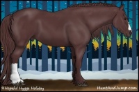 Horse Color:Chocolate Black