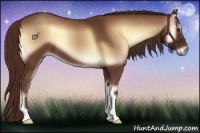 Horse Color:Red Onyx 