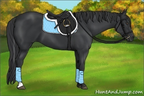Horse Color:Black Tobiano