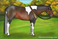 Horse Color:Brown Tobiano 