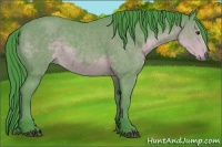 Horse Color:Watercolor Buckskin 