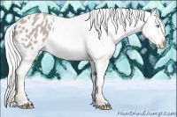 Horse Color:Watercolor Silver Smoky Creme Appaloosa Rabicano 