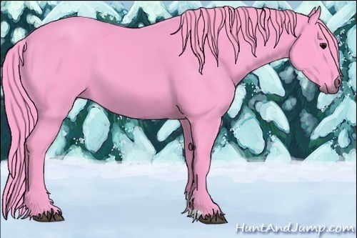 Horse Color:Watercolor Black