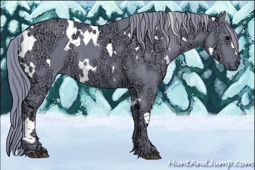 Horse Color:Watercolor White Spotted Black Ice