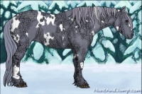 Horse Color:Watercolor White Spotted Black Ice