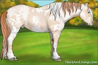 Horse Color:White Spotted Buckskin Ice Pearl 