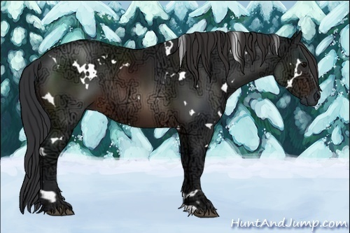 Horse Color:White Spotted Brown Ice 