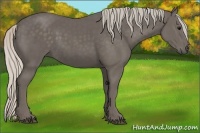 Horse Color:Silver Black 