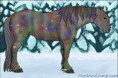 Horse Color:Nacre Black 