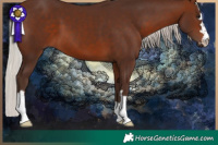 Horse Color:Silver Brown 