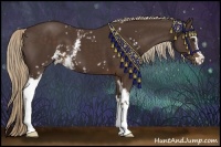 Horse Color:White Spotted Liver Chestnut Sabino
