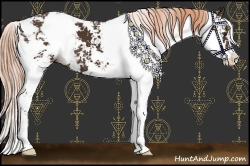 Horse Color:Liver Chestnut Sabino
