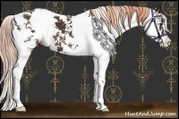 Horse Color:Liver Chestnut Sabino 