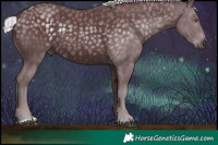 Horse Color:Chocolate Silver Black Chinchilla Rabicano 