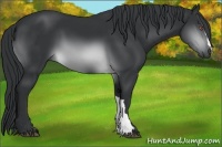 Horse Color:Brown Chinchilla