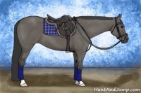 Horse Color:Grullo 