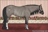 Horse Color:Grullo Rabicano 