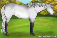 Horse Color:Silver Bay Chinchilla Frame 
