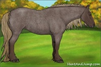 Horse Color:Liver Red Roan