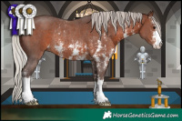 Horse Color:Silver Brown Sabino Rabicano 