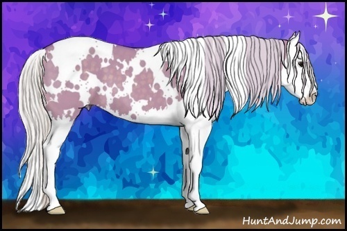 Horse Color:Watercolor White Spotted Silver Smoky Grullo Splash 