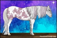 Horse Color:Watercolor White Spotted Silver Smoky Grullo Splash
