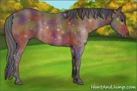 Horse Color:Nacre Bay 